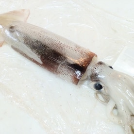 簡単いかの下ごしらえ 煮物 焼き物用 レシピ 作り方 By 体脂肪率11 夫人 楽天レシピ 簡単いかの下ごしらえ 煮物 焼き物用 レシピ 作り方 By 体脂肪率11 夫人 楽天レシピ